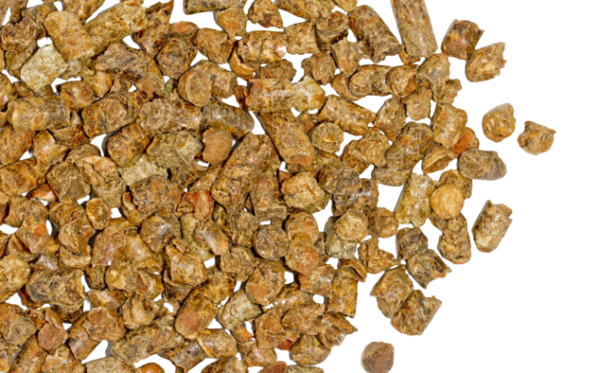 Premium Quality Citrus Pulp Pellets