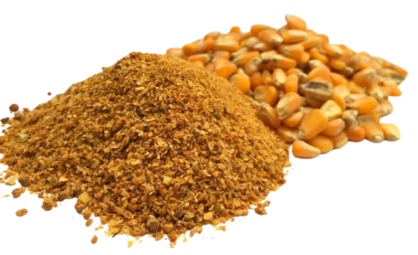 Dried Distillers Grains with Solubles (DDGS)