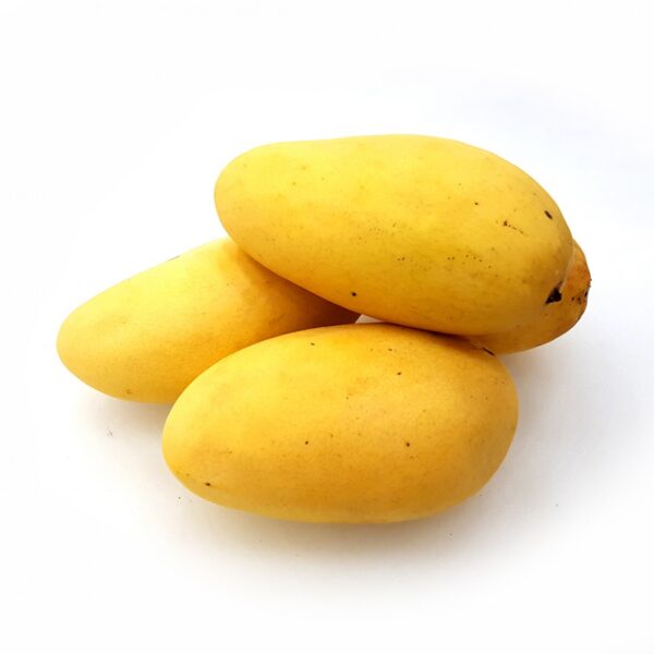 Fresh mango