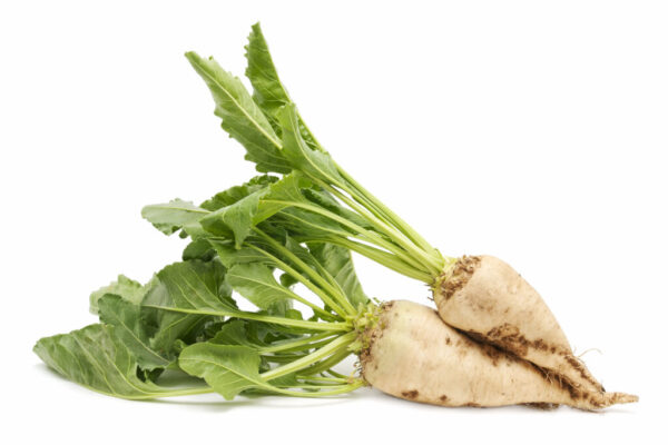 Grade 'A'  Beet Sugar