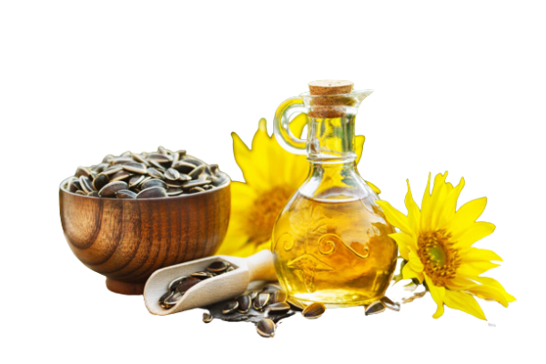 Sunflower Oil